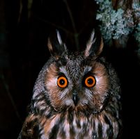 Image faisant partie d'une gallerie