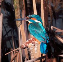 Image faisant partie d'une gallerie