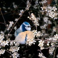 Image faisant partie d'une gallerie