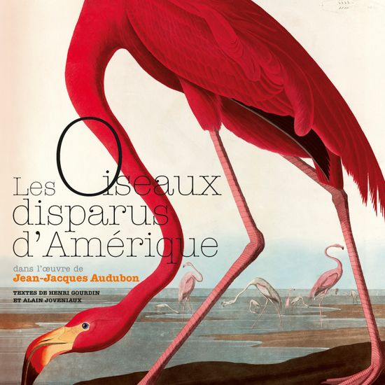 Dessins et peintures, Les oiseaux disparus d